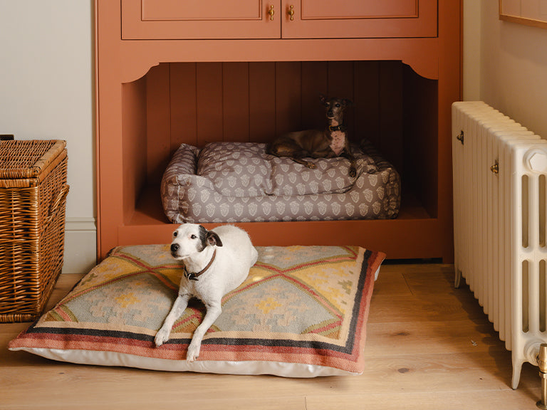 Dog Beds