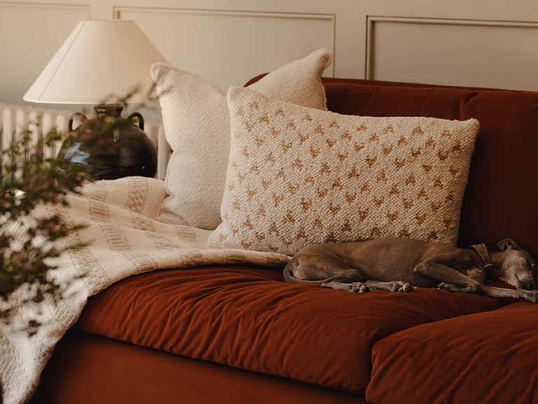 Sofa Throws & Blankets