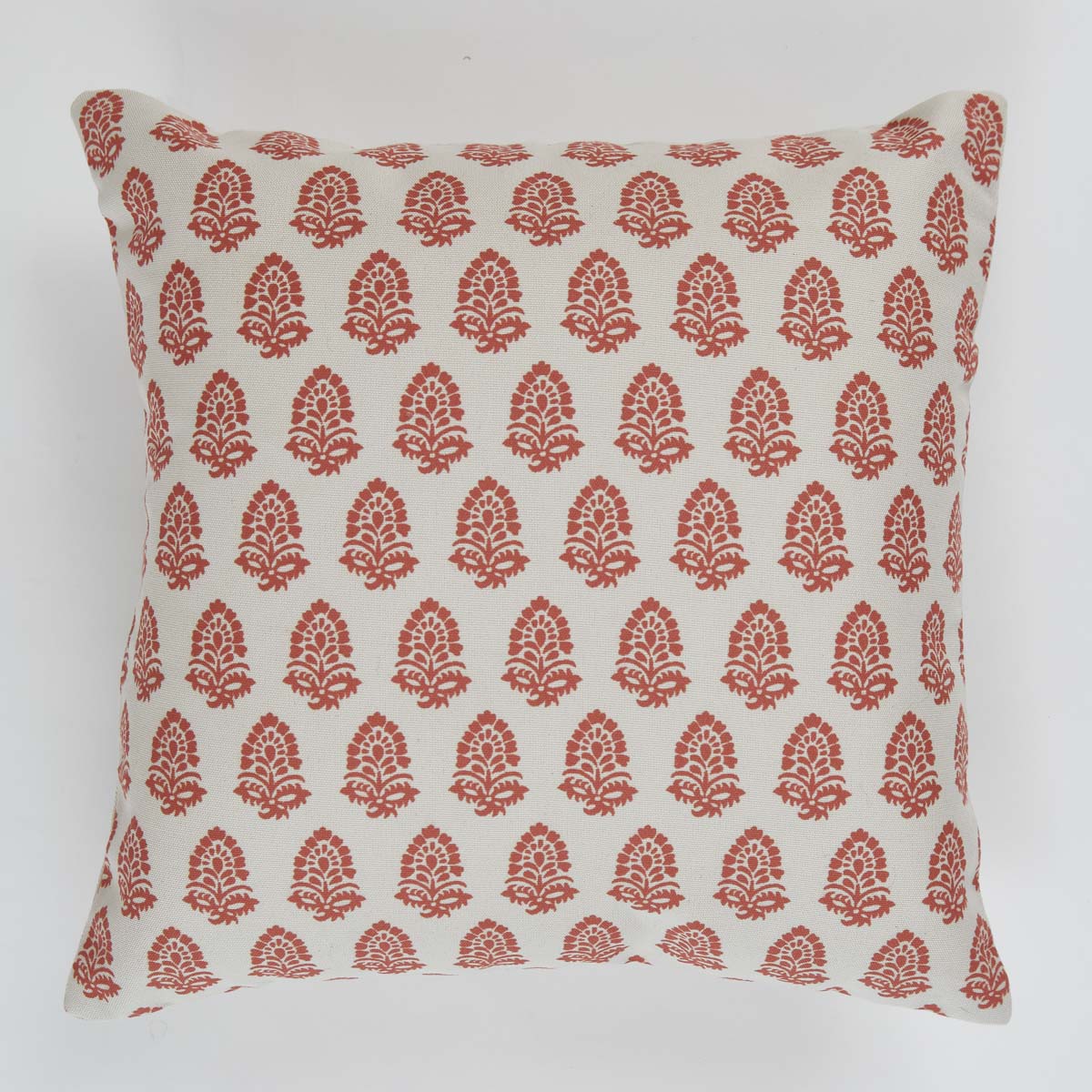 Acorn Canvas Coral Cushion