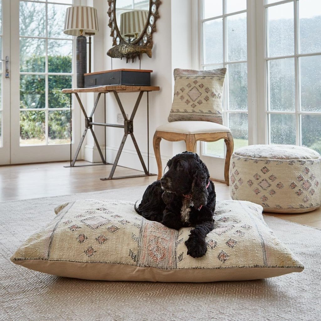 Andalucia Cadiz Floor Cushion in use by a black spaniel