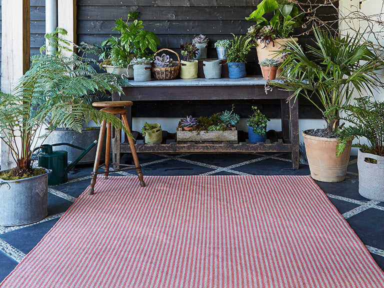 Coral Rugs