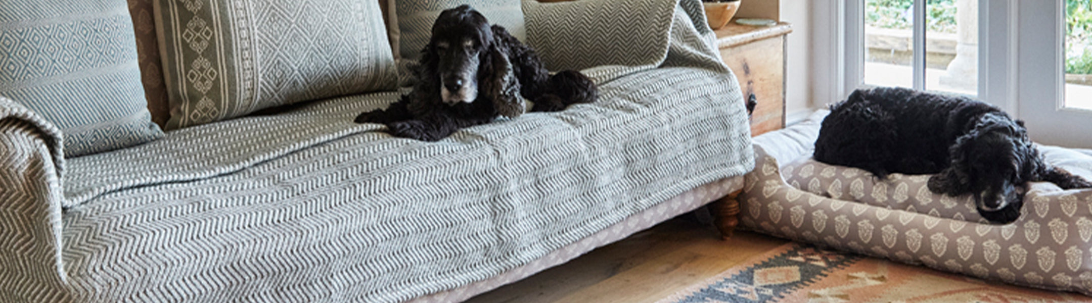 Dog Beds