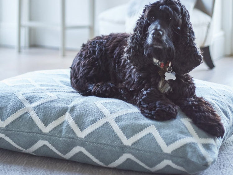 Grey Floor Cushions