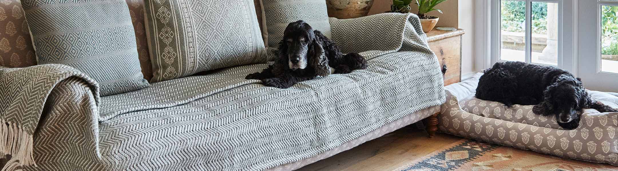 Pet Friendly Rugs
