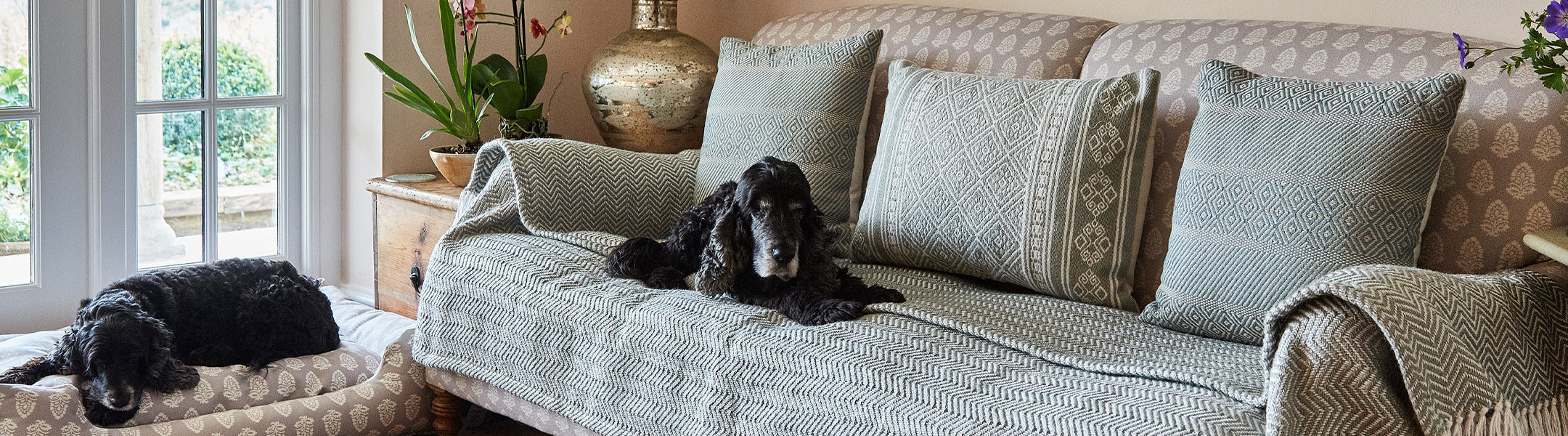 Pet Friendly Rugs & Accessories