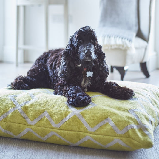 Juno Gooseberry Floor Cushion - Sale Item