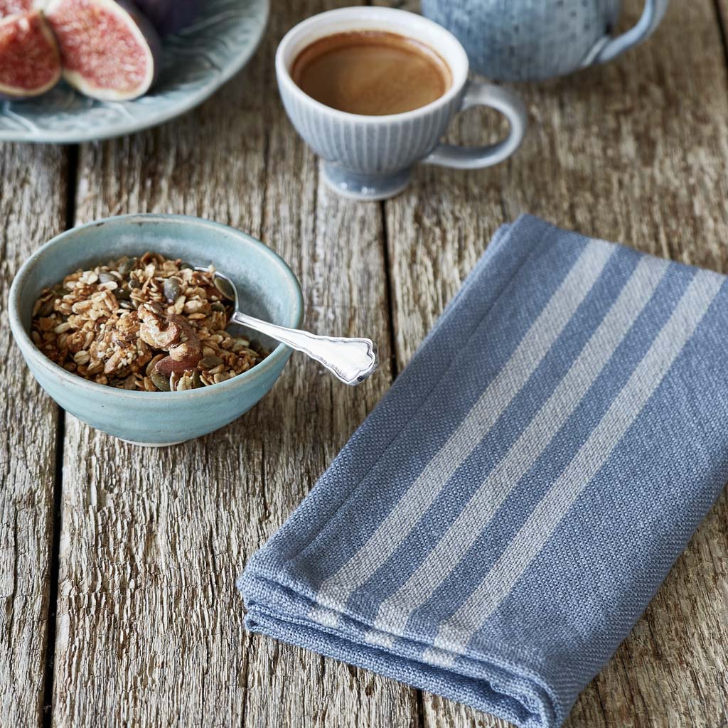 Maxime Blue & Linen Napkins (4 Pack)